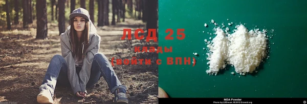 дурь Аркадак