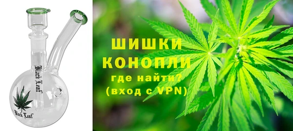 трава Арсеньев