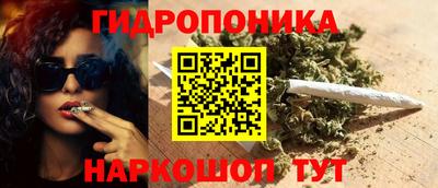 ECSTASY Гатчина
