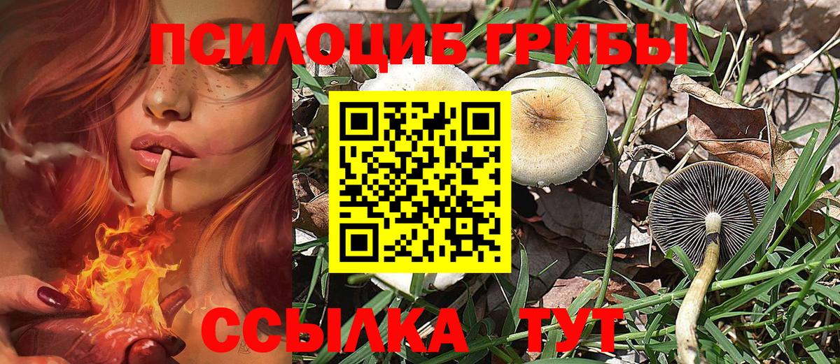 Псилоцибиновые грибы прущие грибы  Вход с VPN  Ессентуки 