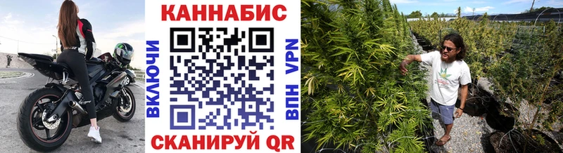 купить закладку  Ессентуки  Бошки Шишки план 
