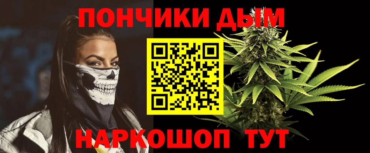 Бошки Шишки планчик Ессентуки